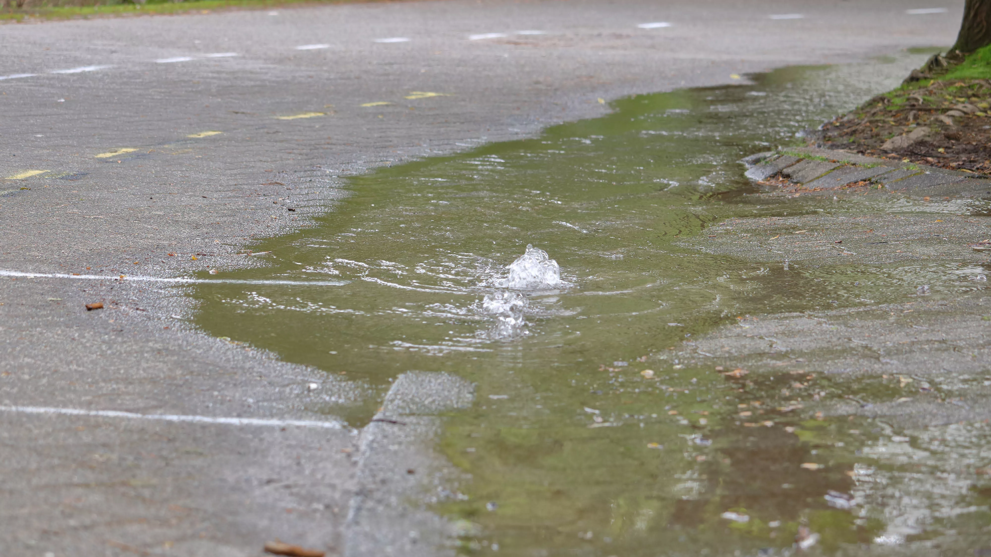 a watermain break on a road